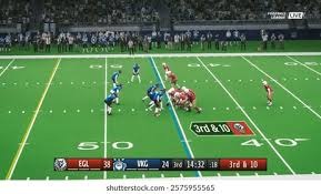 密苏里州法院裁定堪萨斯皇家队场内吉祥物伤人案赔偿